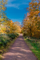 Herbstspaziergang rund um die Wartburgstadt Eisenach am Rande des Thüringer Waldes - Thüringen