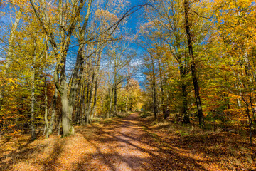 Herbstspaziergang rund um die Wartburgstadt Eisenach am Rande des Thüringer Waldes - Thüringen