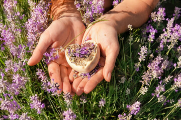 Natural handmade soap in the shape of a heart in the hands of a girl in lavender flowers. Making soap from natural ingredients for cosmetic procedures. natural cosmetics in cosmetology. copyspace