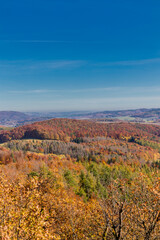 Obraz premium Herbstspaziergang rund um die Wartburgstadt Eisenach am Rande des Thüringer Waldes - Thüringen