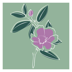 Indoor plant gardenia jasmine. Vector illustration of a flower. 