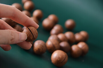Close up photo of hand holding a roasted macadamia nuts with shell in the dark green background