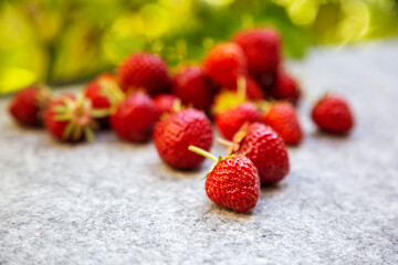 Erdbeeren