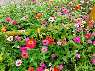 Naklejka premium hundreds of colorful paper flowers
