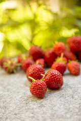 Erdbeeren