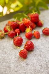 Erdbeeren