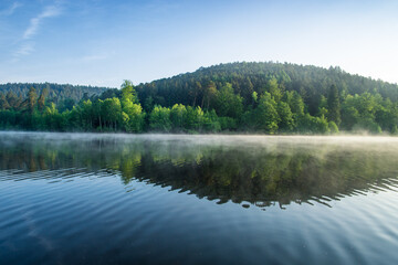 Obraz premium Trees glow in the morning light and reflect in a lake