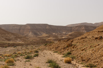 Valley and rocks in the Judean desert in Israel