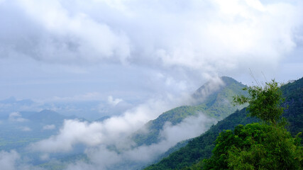 Mountain fog in Loei province in Thailand