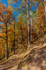 Herbstspaziergang rund um die Wartburgstadt Eisenach am Rande des Thüringer Waldes - Thüringen