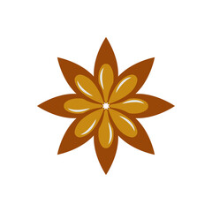 star anise icon design template vector