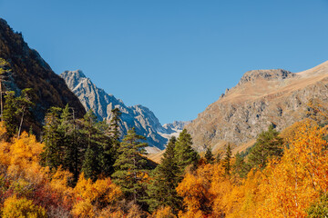 Rocky mountains landscape and autumnal forest.