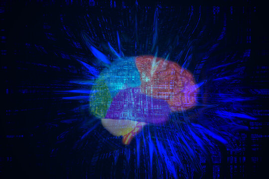 Brain in Cyberspace