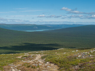 View on forest and milky green Laitaure, Lajtavrre lake from Kungsleden hiking trail in Sarek national park, Sweden Lapland. Wild landscape with mountains, hill, rocks and trees. Summer sunny day