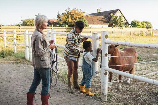 Boy touching pony while standing with mother and grandmother at farm