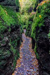 Herbstspaziergang rund um die Wartburgstadt Eisenach am Rande des Thüringer Waldes - Thüringen