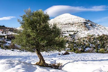 Winter and snow Africa, snow in mountains of North Africa, Jijel state, Algeria, melting snow due...