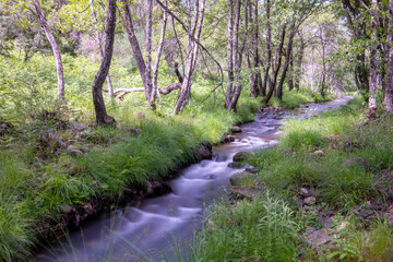 rio puente de la huerta, gata
