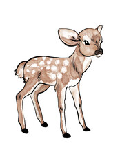 Cute Baby deer watercolor, autumn illustration, Hand Painted, vector illustration