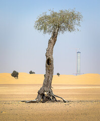 Solarkraftwerk in der Wüste