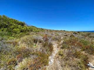 Schiffsreise von Brac Bol nach Hvar und Pakleni Inseln im Sommer