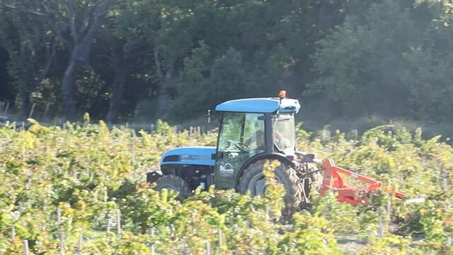 un tracteur dans des vignes 
