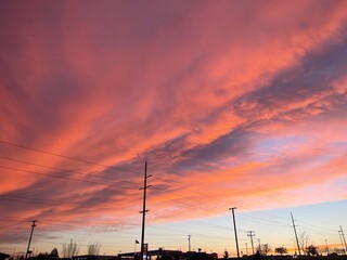 Naklejka premium power lines at sunset