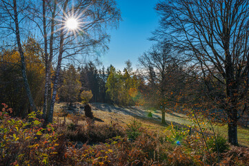 Schwarzwald ,Herbst ,sonne