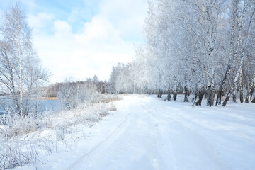 winter road leaving in a snowy winter birch forest against a blue sky..