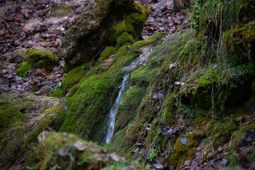 sandy rock along which flows a clear forest spring water forming a waterfall. Stones with green moss.