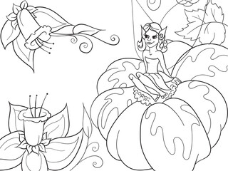 Coloring book for children, fairy on flowers. Black lines, white background.