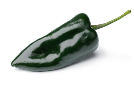  Single Fresh Green Mexican Poblano Pepper Isolated On White Background