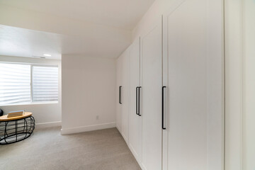 White cabinet doors in a room with carpeted flooring