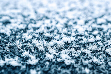 Obraz premium Frosting macro. Cold snow winter background. Blue crystal frozen abstract pattern. White frost ice texture.