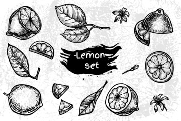 Set of hand drawn lemon, slice, cut pieces, leaves, flower. Black and white sketch, citrus fruit doodle. Food template, lime. Vector illustration.