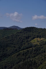 A landscape full of trees