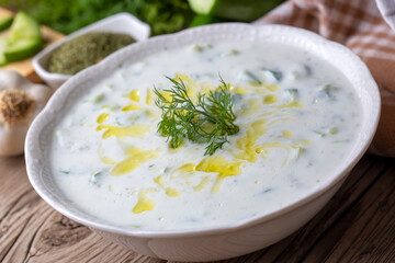 Traditional delicious appetizer; tzatziki (Turkish name; cacik)