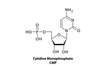 CMP - Cytidine monophosphate Nucleotide molecule strcuture on white background