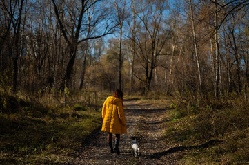 Obraz premium Caucasian woman walking with jack russell terrier dog in autumn forest.