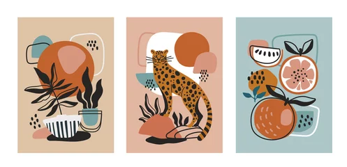 Fotobehang Set of three modern poster designs with a wild cat or leopard, potted plants and healthy fresh fruit on abstract patterned backgrounds, colored vector illustration © Rudzhan