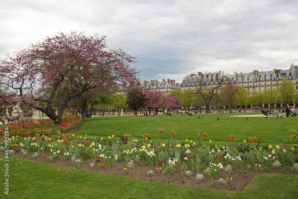 Sticker jardin des tuileries