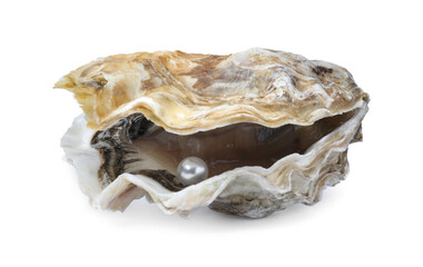 Open oyster with pearl isolated on white