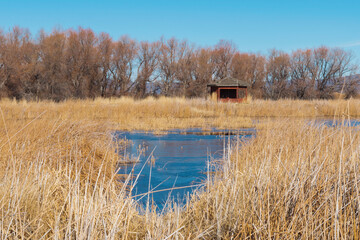 A view of the bird blind across the marsh at Tule Lake 
National Wildlife Refuge in California.