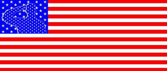 The captain congratulated him on the anniversary of his death. happy veterans day united states flag