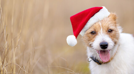 Happy cute christmas pet dog puppy smiling. Holiday card background or banner with copy space.