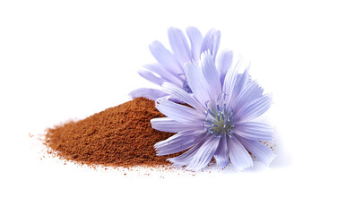 Chicory flowers with crushed root on white background