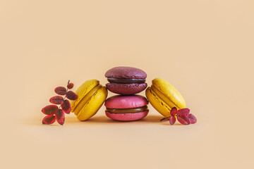 Tasty french macarons on a yellow pastel background.