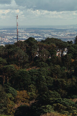 Obraz premium Forest with antennas with a city in the background