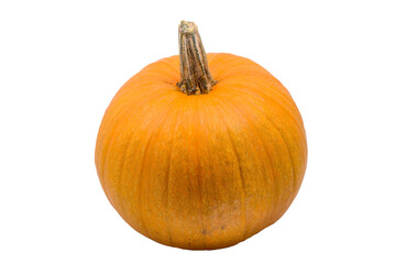 large ripe orange pumpkin on cut out background view two
