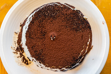 Macro closeup flat top above view of chocolate cocoa powder chips vanilla mascarpone traditional Italian tiramisu dessert with egg yolks gelato base on plate for serving
